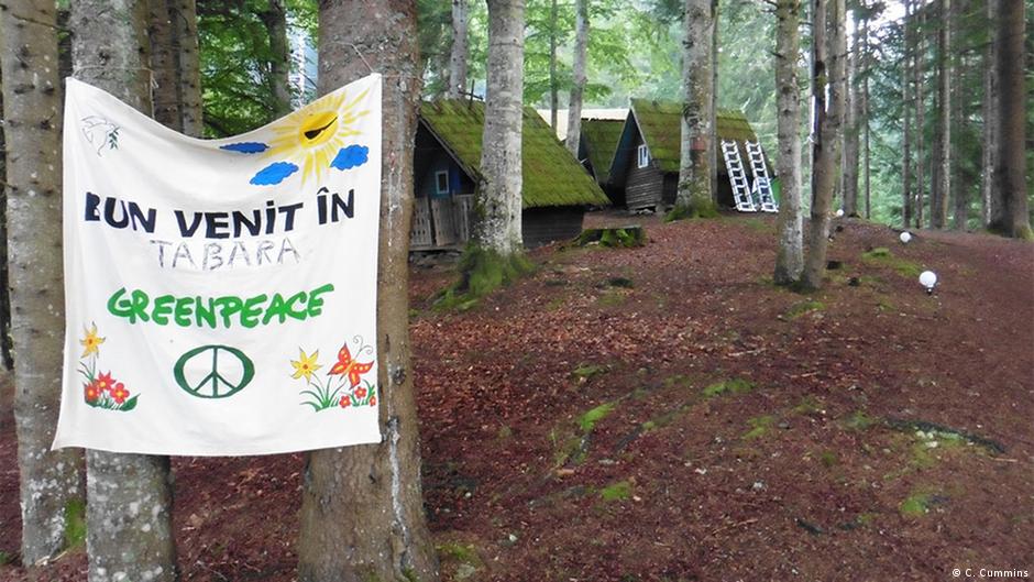 Rescuing Romania’s forest
