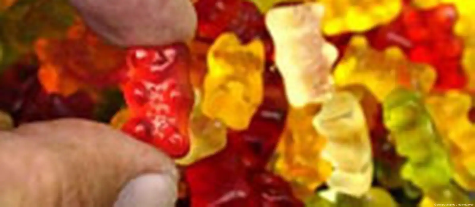 The Gummy Bear Song - forum