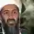 Osama bin Laden (Archivfoto/Grafik: AP)
