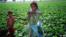 جهود دولية مكثفة لمكافحة ظاهرة عمل الأطفال