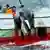 Erlegter Wal wird über Bord gezogen (Foto: AP)