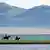 Zwei Reiter auf einer Landzunge in einem See. Dahinter ein Gebirgspanorama (Quelle: AP)