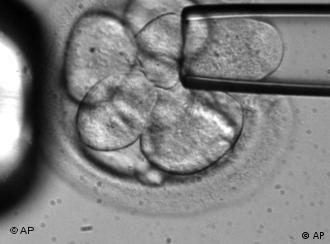 Single cell being extracted from embryonic stem cells