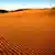 Ein Sandfeld in der Wüste (Foto: dpa)