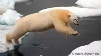Klimawandel Arktis-Eis schwindet dramatisch