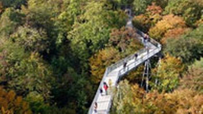 BdT Wetter Deutchland Herbst (AP)