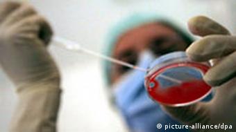 Scientist working on IVF