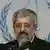 Balozi wa Iran katika shirika la IAEA Asghar Soltanieh
