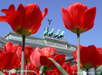 Tulpen am Brandenburger Tor. Quelle: dpa