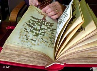 jemand blättert in einer alten Handschrift mit botanischen Zeichnungen