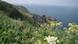Blick von einem Felsvorsprung der Insel Sark aufs Meer Blick von einem Felsvorsprung der Insel Sark aufs Meer