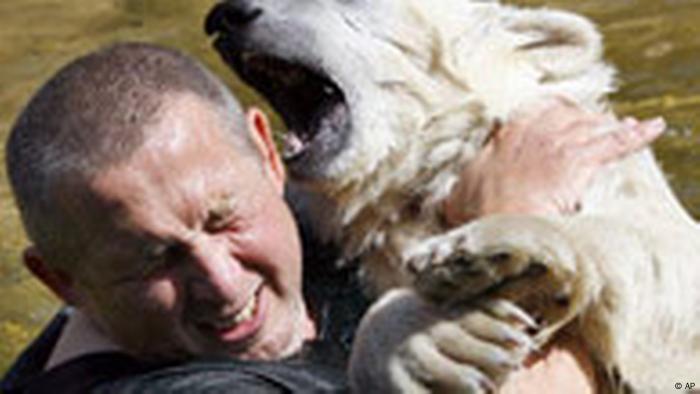Surprised Polar Bear Mauls Woman In Berlin Zoo News And Current Affairs From Germany And Around The World Dw 10 04 2009
