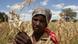 An image of an old woman on a farm in Zimbabwe An image of an old woman on a farm in Zimbabwe