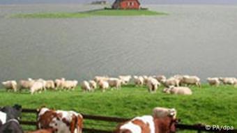 Hallig Langeneß
