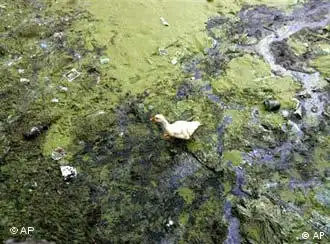 受到严重污染的太湖（摄于2007年）