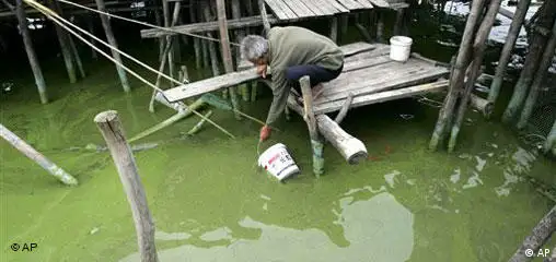 China Umweltverschmutzung See Tai Fischer