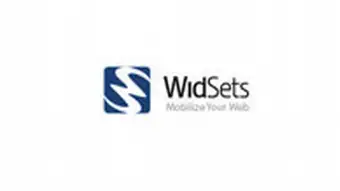 Widsets Logo