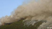 Mbrojtja e pyjeve nga zjarri në Shqipëri - Projekt i BB-së dhe Suedisë