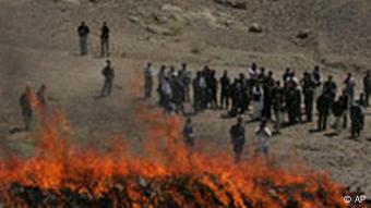 Verbrennung von beschlagnahmtem Opium in Kabul, Quelle: AP