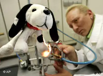 质检人员正在检测玩具狗的产品质量