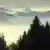 Pogled u jutro na nepregledne šume ovijene maglom