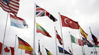 NATO member flags