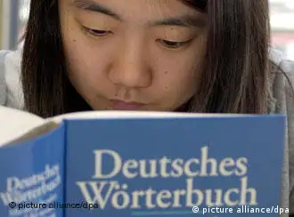 A woman reads a German dictionary