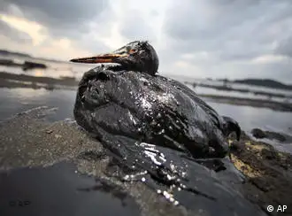 韩国西部海岸受原油泄漏污染