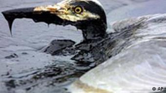 Загрязнение нефтью - трагедия для природы