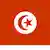 Flagge Tunesien (Foto: DW-TV)
