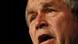 Bush, Quelle: AP Bush, Quelle: AP