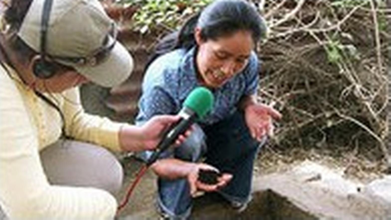 Brazil and Peru: Environmental Journalism