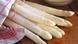 White asparagus White asparagus