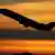 Sillhouette eines Flugzeuges vor einem dämmernden Himmel (14.4.2008, Minneapolis - USA, Quelle: AP)