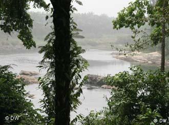 Blick auf den Korup- Nationalpark in Südwest-Kamerun (Quelle: DW)