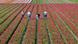 People work in the bulbfields in Lisse, Netherlands, Thursday, 12 April 2007. EPA/PIETER FRANKEN +++(c) dpa - Report+++ People work in the bulbfields in Lisse, Netherlands, Thursday, 12 April 2007. EPA/PIETER FRANKEN +++(c) dpa - Report+++