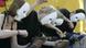 activits wearing masks holding adidas sneakers activits wearing masks holding adidas sneakers
