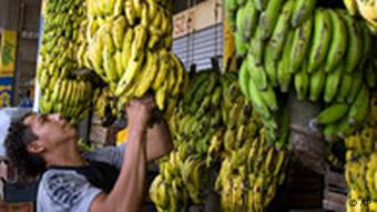 A man sells bananas at the central food market in Villa Nueva, Guatemala, Tuesday, April 29, 2008. According to the U.N. World Food Program, WFP, due to the rising prices of petroleum, the cost of basic food products in Guatemala have shot up 15 percent.(AP Photo/Moises Castillo)