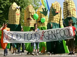 转基因技术反对者在德国举行抗议活动