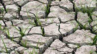 خشک شده یک دریاچه یا مرداب بر تمام زیست‌بوم اطراف خود تأثیر می‌گذارد