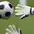 Bearing the national flag of Czech Republic, the gloves of Petr Cech are seen during a training session of the national soccer team of Czech Republic in Basel, Switzerland, Friday, June 6, 2008.