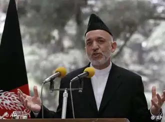 阿富汗总统卡尔扎伊