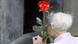 An old man, holding a rose, looks inside the memorial to gay nazi victims An old man, holding a rose, looks inside the memorial to gay nazi victims