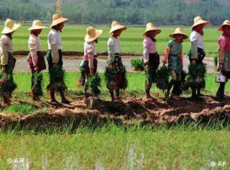 中国农民何时能掌握自己的土地？