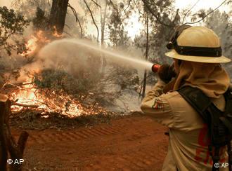 Feuerwehrmann (Quelle: AP)