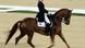 Dressage rider Heike Kemmer and horse Bonaparte compete in Dressage Individual Grand Prix of the Equestrian event on 13 August 2008 Dressage rider Heike Kemmer and horse Bonaparte compete in Dressage Individual Grand Prix of the Equestrian event on 13 August 2008