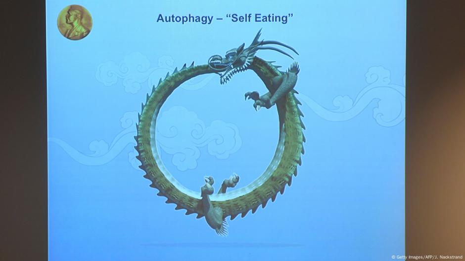 Melacak Gelombang Gaib Dari Jagad Raya Iptek Laporan Seputar Sains Dan Teknologi Dan Lingkungan Dw 13 09 2017