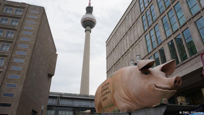 Iconic television tower in Berlin's Alexanderplatz, with pig in foreground