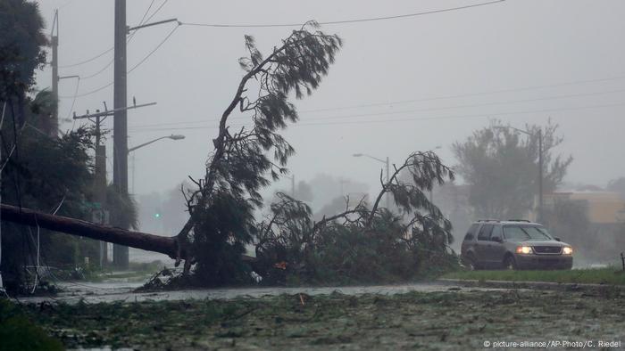USA Hurrikan Matthew in Florida (picture-alliance/AP-Photo/C. Riedel)
