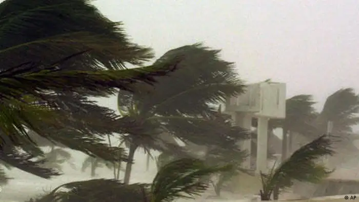 Palmen im Hurrikan (foto: AP Photo/Jose Luis Magana)